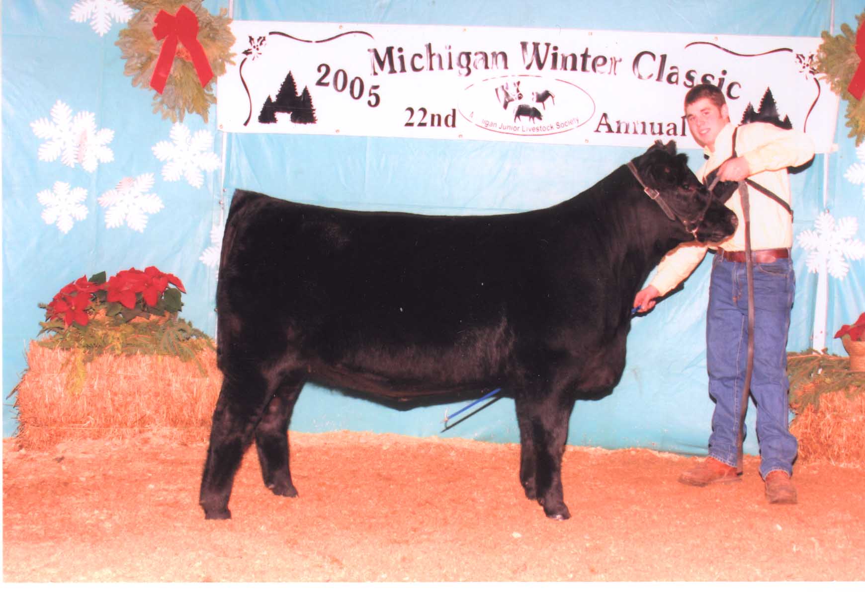 Oak Row Angus Cattle photo 23